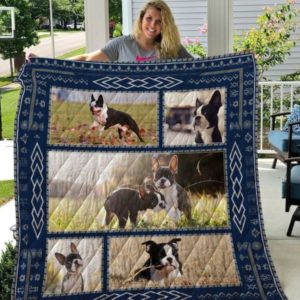 Boston Terrier Play On The Pampasgrass Quilt Blanket Great Customized Blanket Gifts For Birthday Christmas Thanksgiving