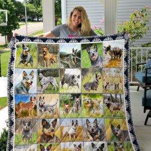 Australian Cattle Dog Playing On The Field Quilt Blanket Great Customized Blanket Gifts For Birthday Christmas Thanksgiving