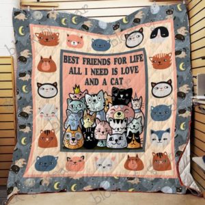 Cat Cartoon Best Friends For Life Quilt Blanket Great Customized Gifts For Birthday Christmas Thanksgiving Perfect Gifts For Cat Lover