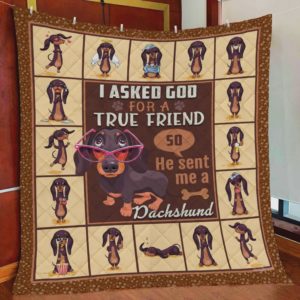 I Asked God For A True Friend So He Sent Me A Dachshund Quilt Blanket Great Customized Blanket Gifts For Birthday Christmas Thanksgiving Perfect Gifts For Dachshund Lovers