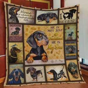 He Is Not Just A Dachshund He Is My Son Quilt Blanket Great Customized Blanket Gifts For Birthday Christmas Thanksgiving Perfect Gifts For Dachshund Lovers