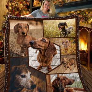 Dachshund Dog Look At You Boss Quilt Blanket Great Customized Blanket Gift For Birthday Christmas Thanksgiving Anniversary