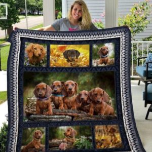 Cute Brown Dachshund Dogs Quilt Blanket Great Customized Blanket Gifts For Birthday Christmas Thanksgiving Anniversary