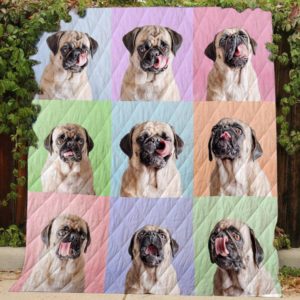 Cute Pug Licking Quilt Blanket Great Customized Blanket Gifts For Birthday Christmas Thanksgiving